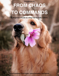 From Chaos To Commands: A Beginner's Guide to a Dog That Actually Listens